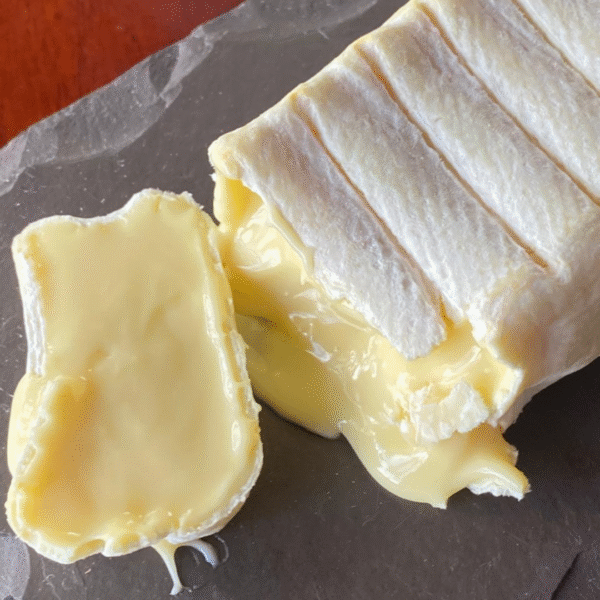Queijo Primitivo - Serra das Antas