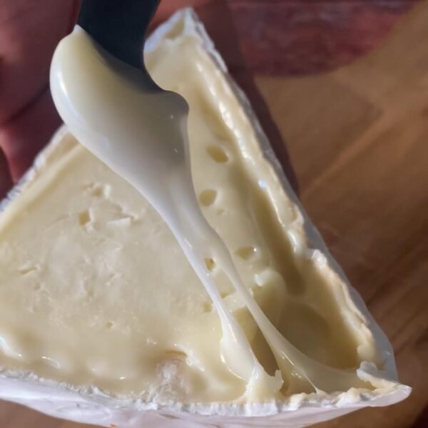 Queijo Brie - Serra das Antas