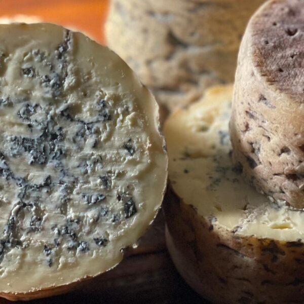 Queijo Gorgonzola de Colher - Serra das Antas