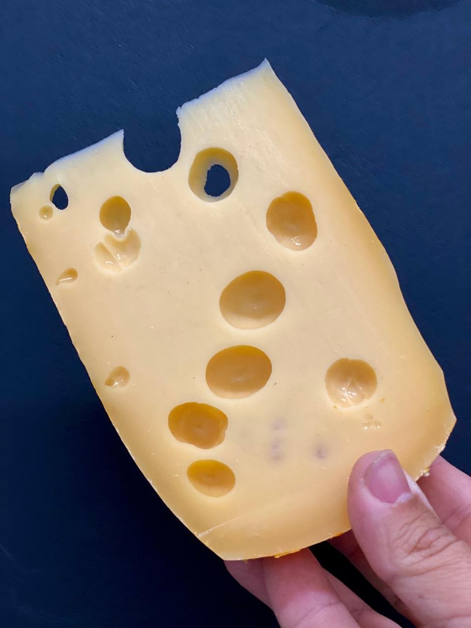 Queijo Maasdam - Nova Alemanha - Imagem 3